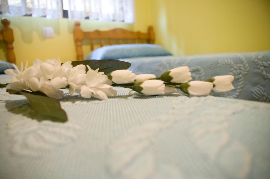 Pension Aries II Cuenca  Room photo