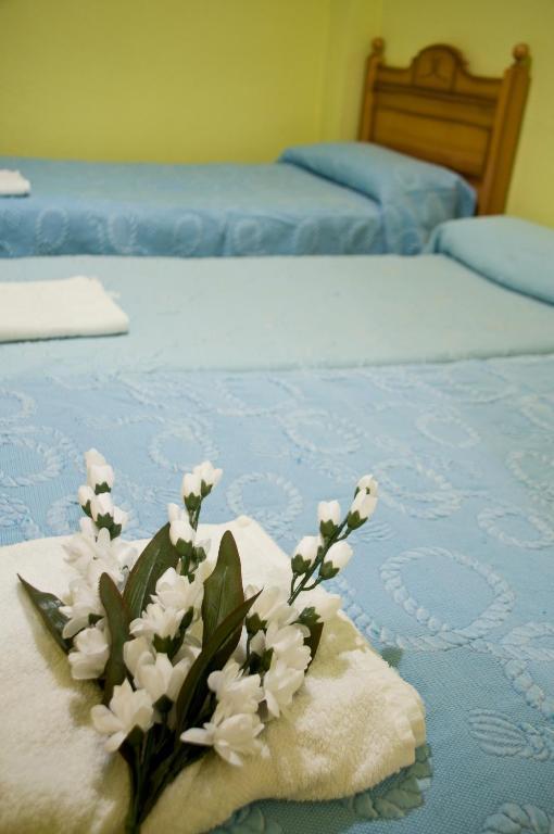 Pension Aries II Cuenca  Room photo